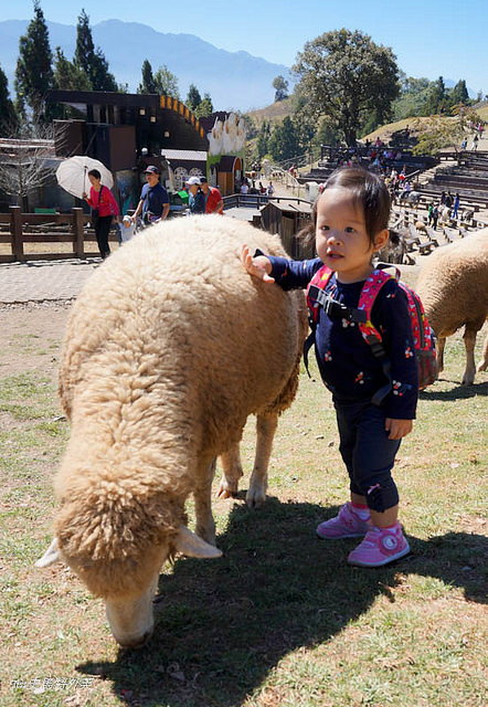 HUGGER防走失背包, 幼童背包推薦,親子遊必備