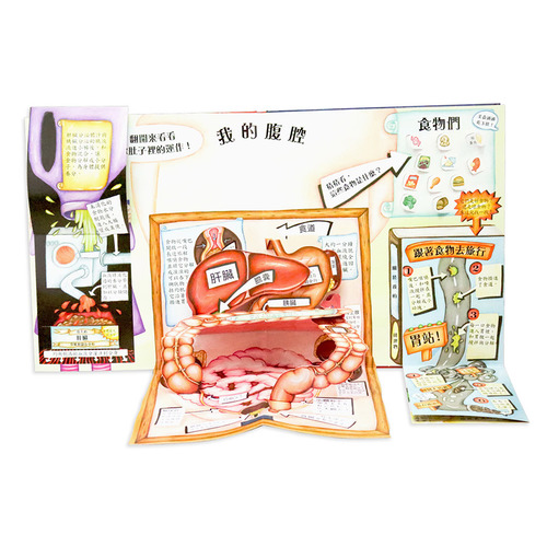 【STEAM精選】身體原來是這樣 立體書 (華碩文化) 【STEAM精選】身體原來是這樣 立體書 (華碩文化)