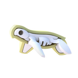 【HALFTOYS】 3D海洋系列 綠蠵龜GREEN TURTLE
