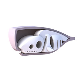 【HALFTOYS】 3D海洋系列 抹香鯨SPERM WHALE