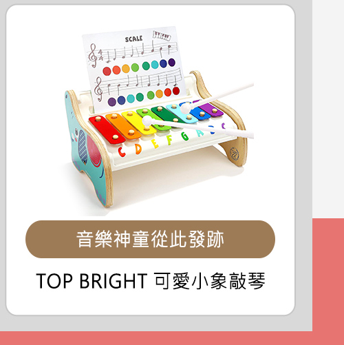 TOP BRIGHT 可愛小象敲琴